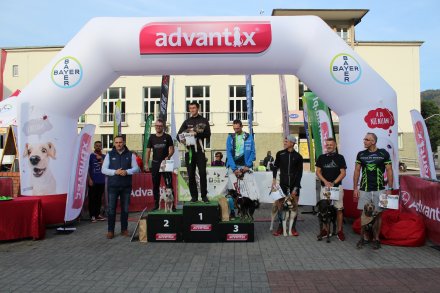 Fragment biegu Pucharu Polski w Dogtrekkingu w Wiśle